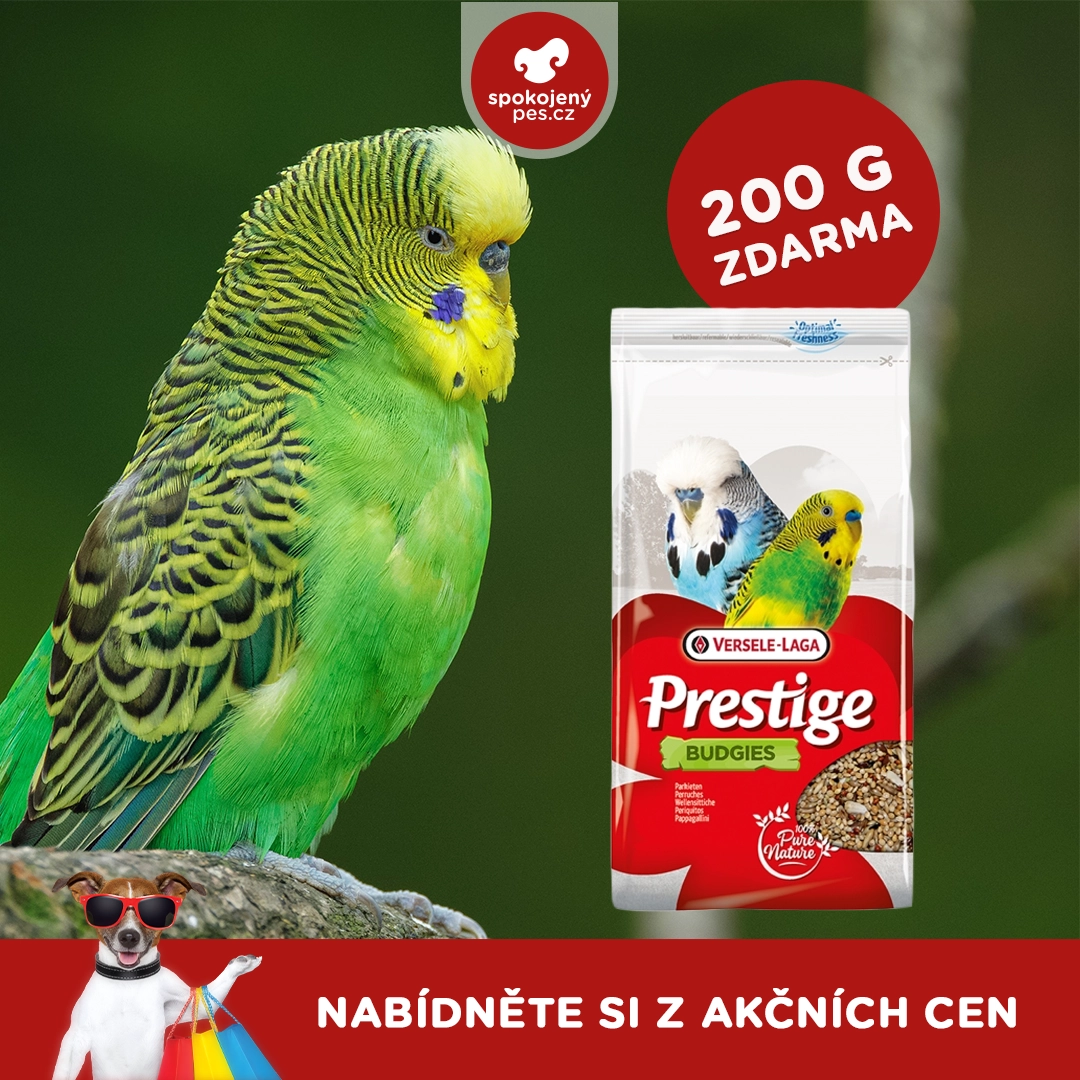 hlod versele 2.webp